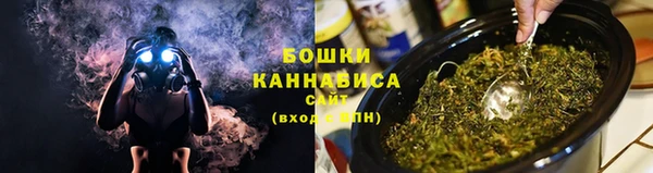 ГАЛЛЮЦИНОГЕННЫЕ ГРИБЫ Балабаново