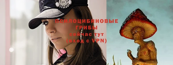 стафф Баксан