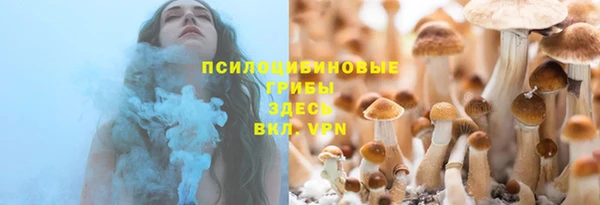 стафф Баксан