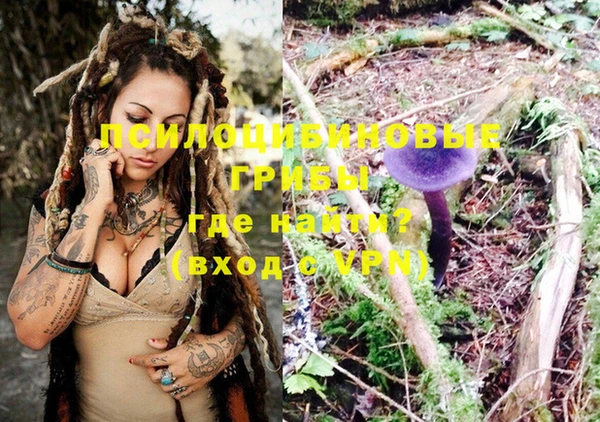 ГАЛЛЮЦИНОГЕННЫЕ ГРИБЫ Балабаново