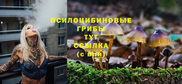 ГАЛЛЮЦИНОГЕННЫЕ ГРИБЫ Балабаново