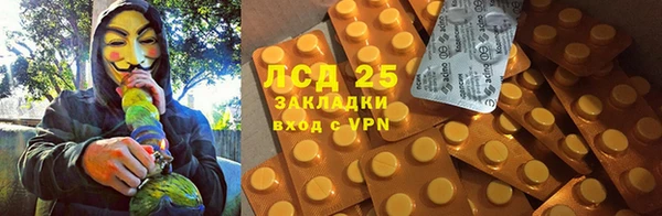 ГАЛЛЮЦИНОГЕННЫЕ ГРИБЫ Балабаново