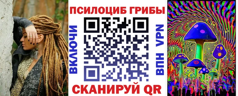 blacksprut вход  Гуково  Галлюциногенные грибы Psilocybe 